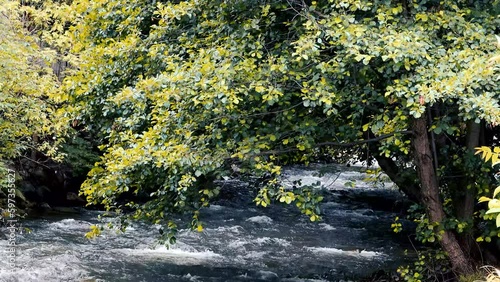 Landscape mountain stream waterfall flowing over rocks through green plants in the forest. Fast river at long exposure