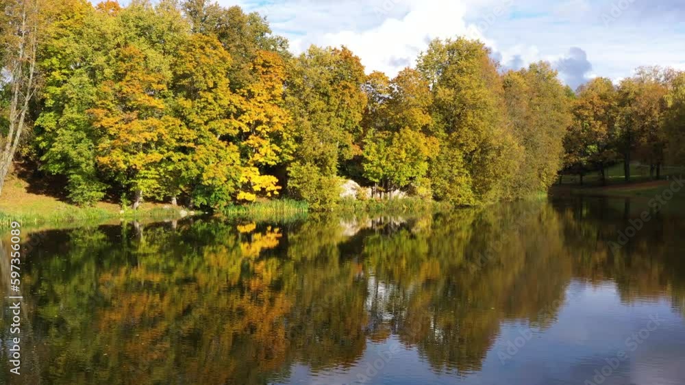 Vibrant autumn forest reflecting on calm lake water, aerial view Vibrant autumn forest reflecting on calm lake water, aerial view