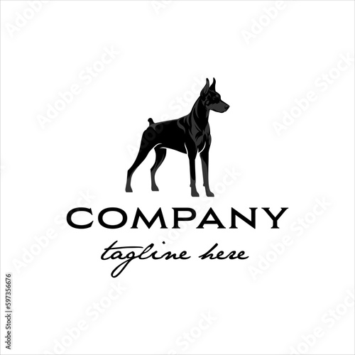 Doberman Pinscher dog stands in a masculine style design