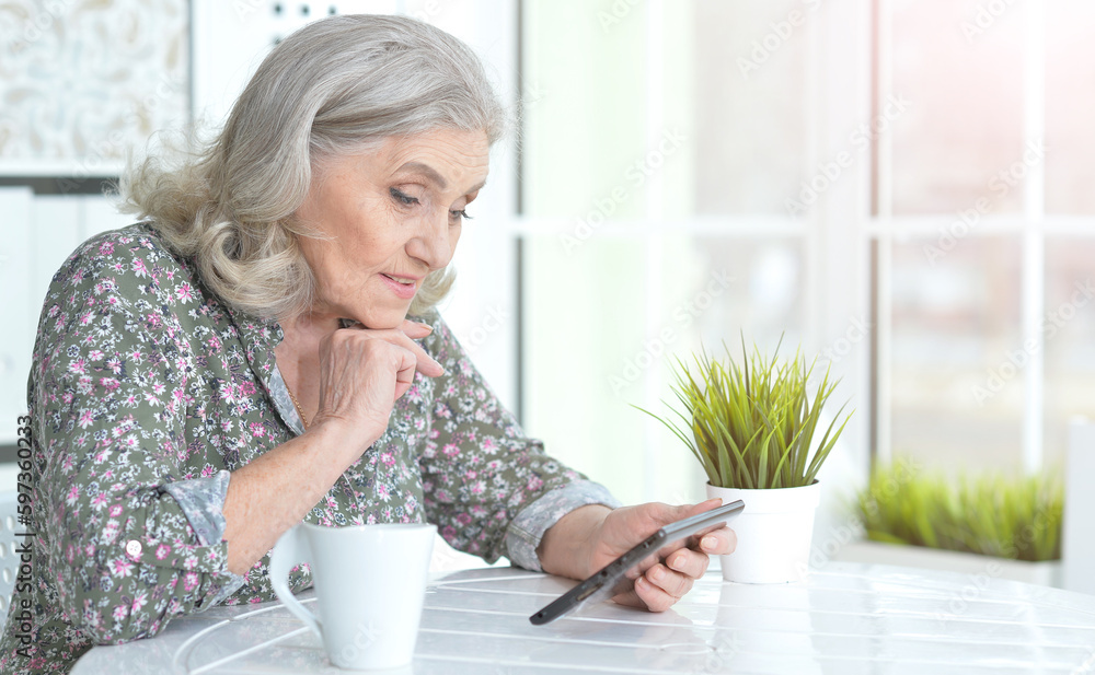 beautiful senior woman using modern tablet beautiful senior woman using modern tablet