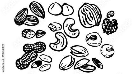 素朴な手描きのナッツ 色々 ベクター モノクロ photo