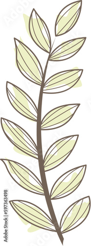 Tropical leaf  monstera  palm leaf  coconut leaf illustration for tropical forest and summer garden style.