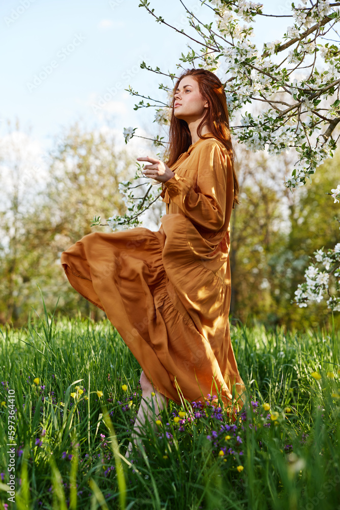 Fototapeta premium a happy, slender, sweet woman stands in a long orange dress in the tall grass near a flowering tree and happily smiling throws up the hem of her dress, looking away
