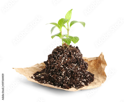 Green seedlings with heap of soil on white background
