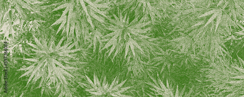 a wide background with cannabis leaves with hatch texture	
 photo