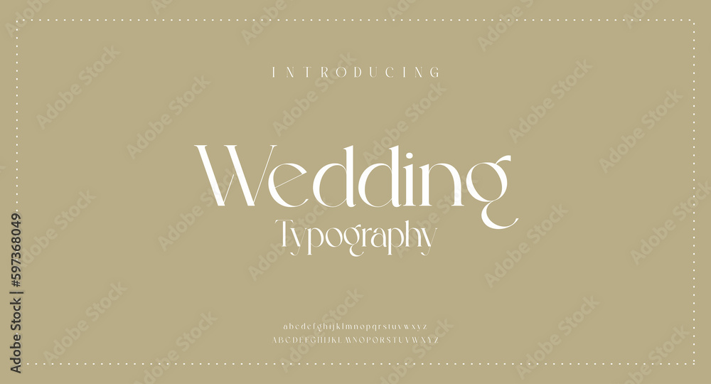 Luxury wedding alphabet letters font with tails typography elegant classic serif fonts and number decorative vintage retro concept for logo branding vector illustration
