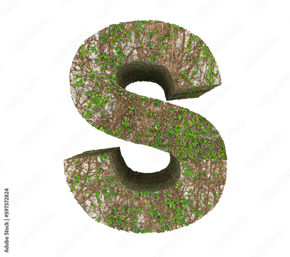 Creeping fig wall letter S on transparent background Creeping fig wall letter S on transparent background