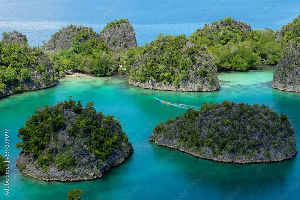 Fototapeta premium Piaynemo in Raja Ampat Indonesia