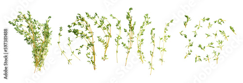 Fotografia Set of fresh thyme isolated on a white background