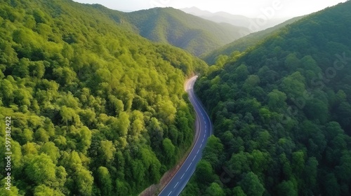 Aerial top view forest tree with car ecosystem environment concept Countryside road passing through the green forrest and mountain.
