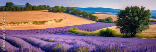 Beautifull french landscape whit lavender field. Digital ai art photo