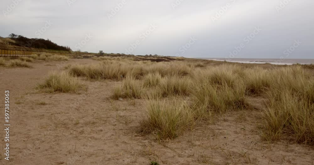 looking north though the sand dunes Marram Grass with the sea beyond on Ingoldmells, Skegness beach looking north though the sand dunes Marram Grass with the sea beyond on Ingoldmells, Skegness beach