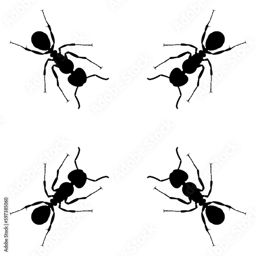 Colony of the Ant Silhouette for Art Illustration, Logo, Pictogram, Website, or Graphic Design Element. Format PNG