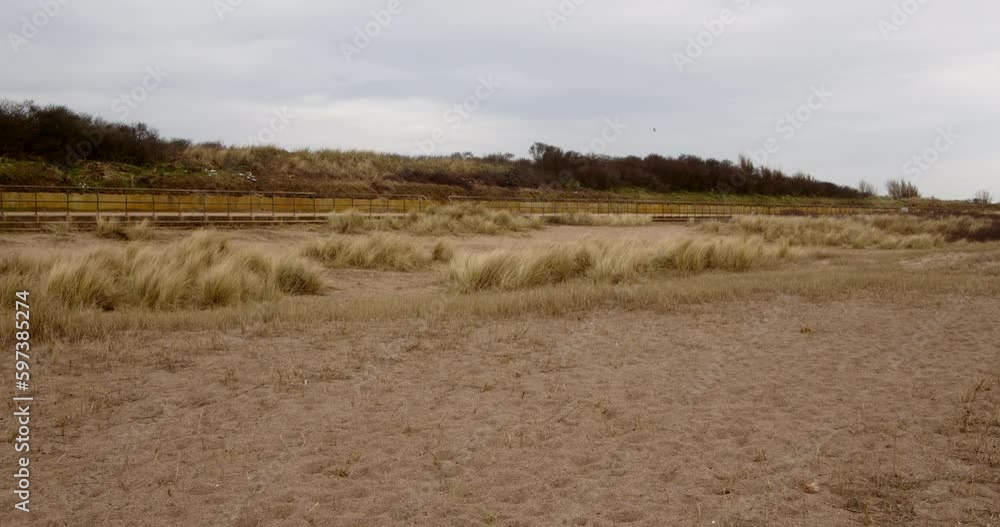looking inland though the sand dunes Marram Grass with the coastal path looking inland though the sand dunes Marram Grass with the coastal path