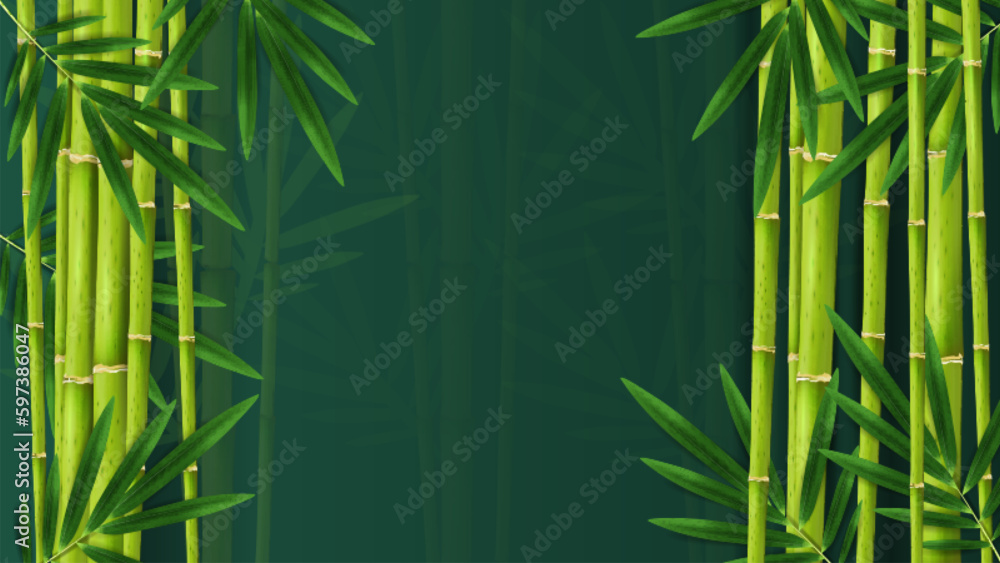 Jungle Bamboo Tropical Background Jungle Bamboo Tropical Background