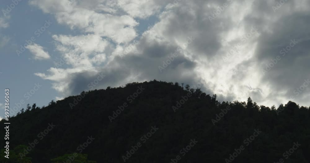 High tree line above lake Rotoma, Rotorua, New Zealand. High tree line above lake Rotoma, Rotorua, New Zealand.