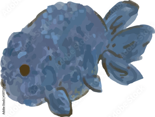 black goldfish