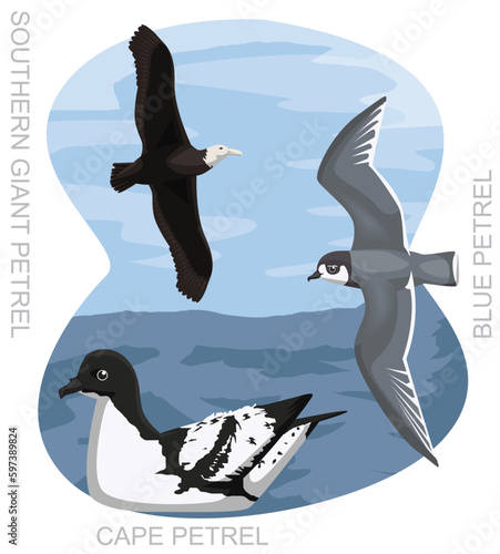 Bilde på lerret Cute Bird Australian Petrel Set Cartoon Vector
