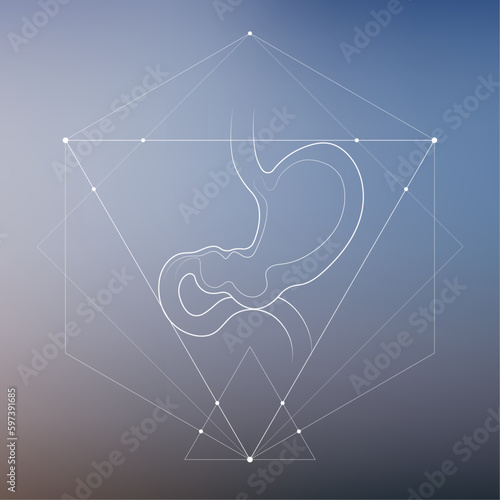 Minimal stomach and gastrointestinal system illustration on gradient. Abdomen internal organs anatomy. Futuristic medical scientific vector clipart.