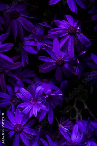 violet flowers background, nature texture © Maksim Shebeko