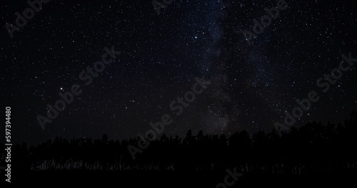The Milky Way galaxy above the silhouettes of trees