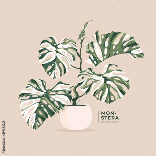 lovely monstera variegata leaves illustration background