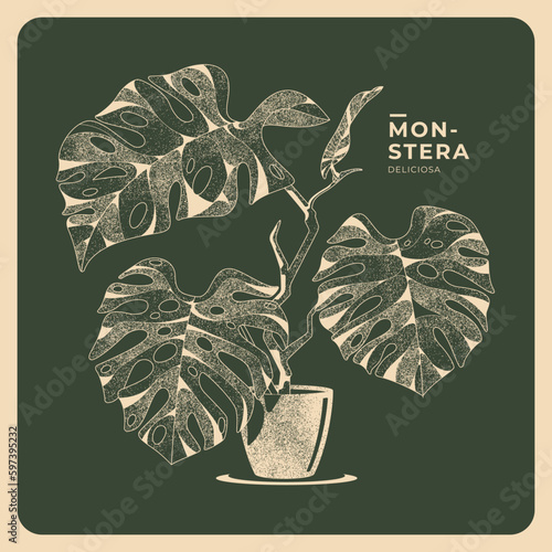 hand drawn vintage monstera poster template