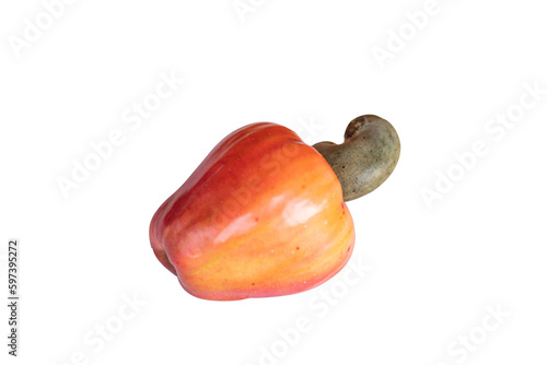 fruit of cashew isolated on white background photo