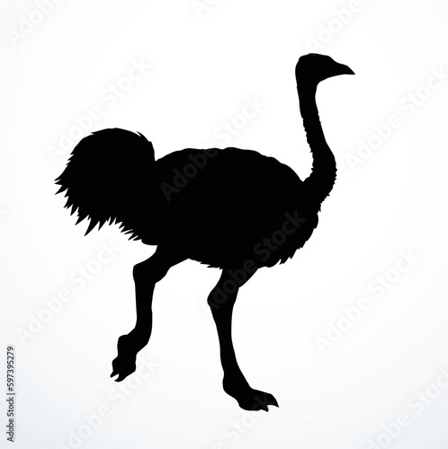 Vector drawing. Ostrich in the steppe