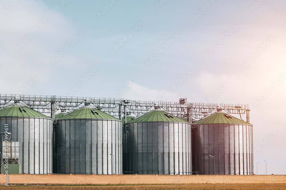 A large grain storage tank with a green roof sits in a field. A large grain storage tank with a green roof sits in a field.