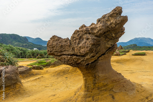 Rocks that are eroded by nature present the shape of the Dragon's Head Rock at Yehliu Geopark, New taipei city, Taiwan photo