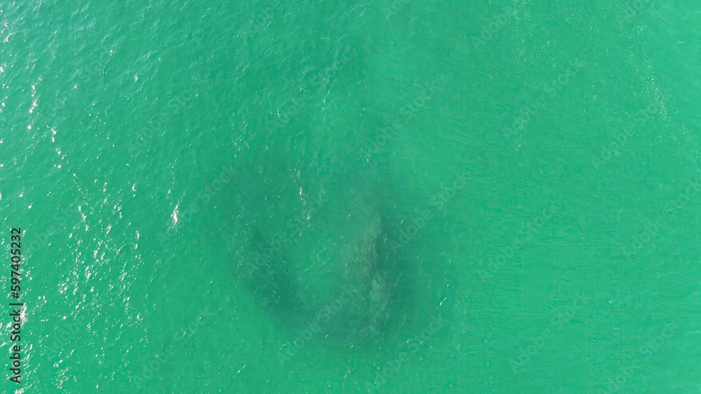 BUZZARDS BEACH EAST CAPE BCS MEXICO2023 An Aerial View Of A Shark