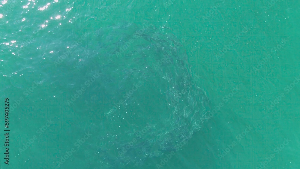 BUZZARDS BEACH EAST CAPE BCS MEXICO2023 There Is A Shark Swimming In