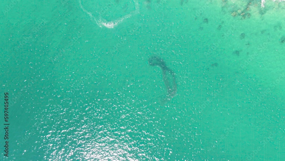 BUZZARDS BEACH EAST CAPE BCS MEXICO2023 An Aerial View Of A Shark