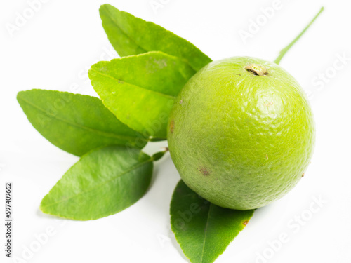 Fototapeta Naklejka Na Ścianę i Meble -  Picture of green citrus with leafs on a white isolated background