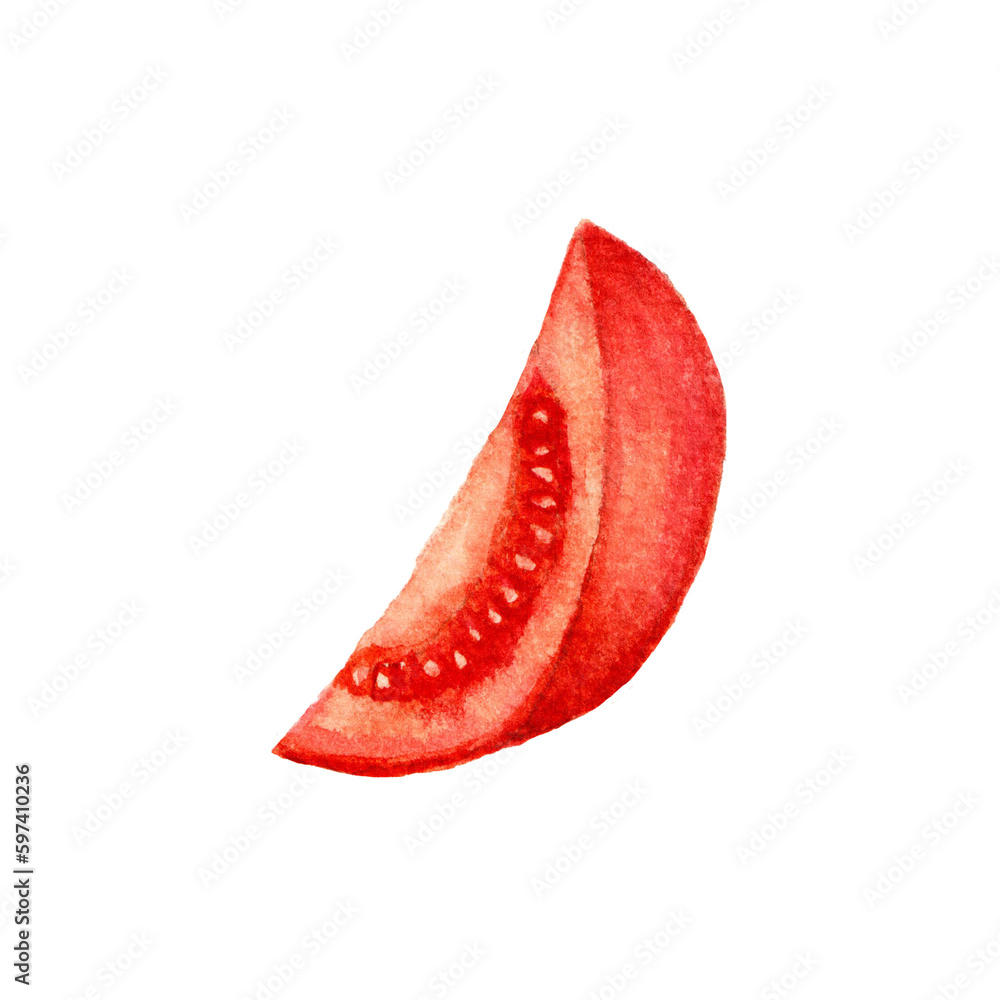 Watercolor hand drawn illustration of tomato Watercolor hand drawn illustration of tomato