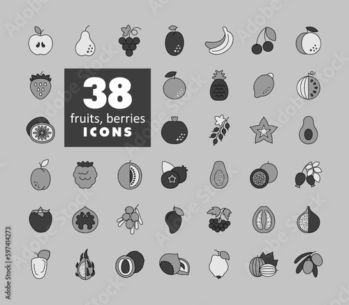 Set of Fruits and Berries vector grayscale icons
