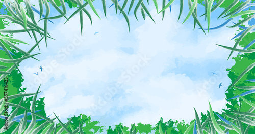 Fototapeta Naklejka Na Ścianę i Meble -  Sky bottom view. Meadow square frame with grass, trees, clouds and birds. Low angle view. The illustration depicts a someone in the grass looks at the sky. Sunny day, calm and quiet field. Vector art.