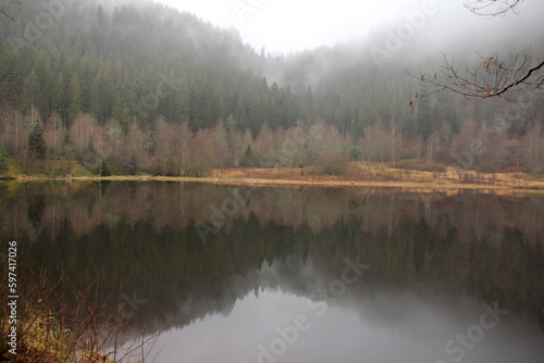 See in einem nebligen Wald