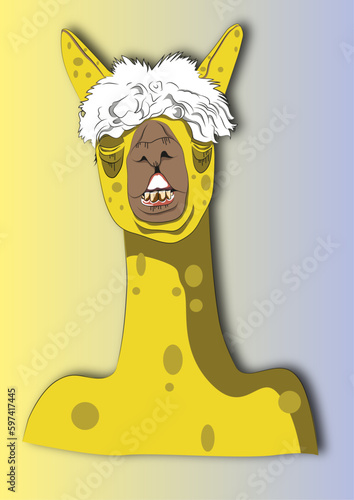 Alpaca Bob