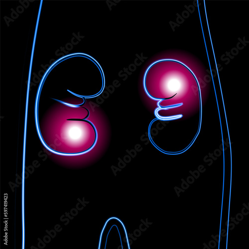 Vector isolated illustration of human kidney with neon effect. Kidney stones. Pain and discomfort in the kidneys. Kidney diseases. Diagnosis of the urinary system.