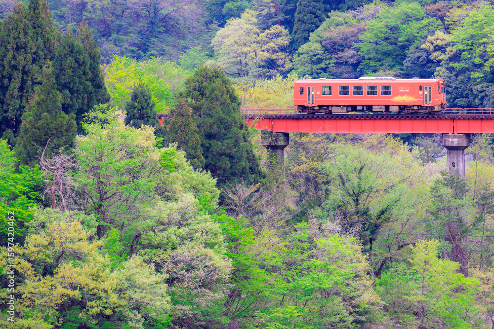 Fototapeta premium 第2九頭竜川橋梁を渡る越美北線のオレンジ色の単行気動車
