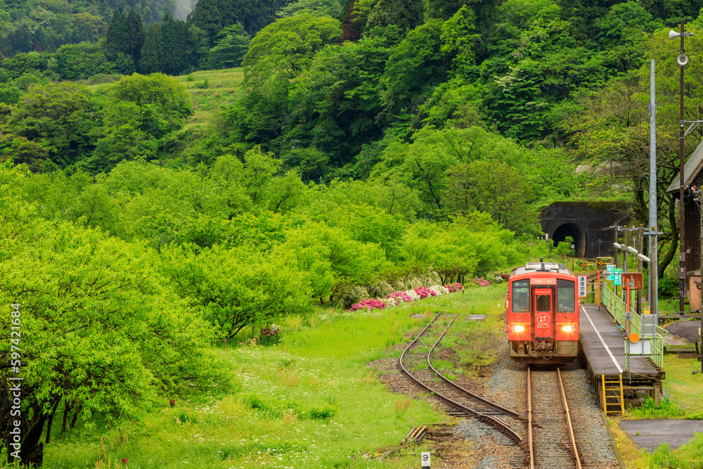 Obraz premium 勝原花桃の里に停車する越美北線のオレンジ色の単行気動車