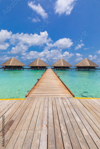 Villas on one of the islands in the Maldives