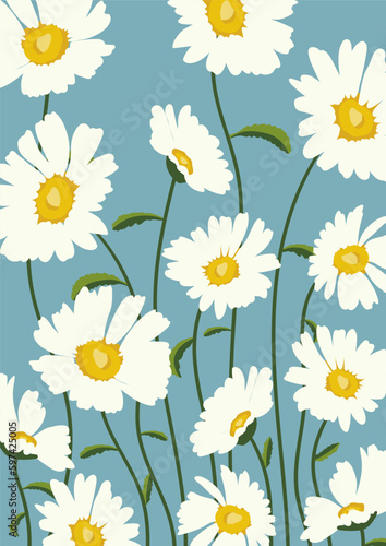 Fototapeta Naklejka Na Ścianę i Meble -  Daisy flower background.Eps 10 vector.