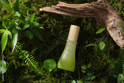 A gradient green bottle mockup for cosmetic on moss background with dry twig and green leave. Natural scene for advertising product from natural ingredient