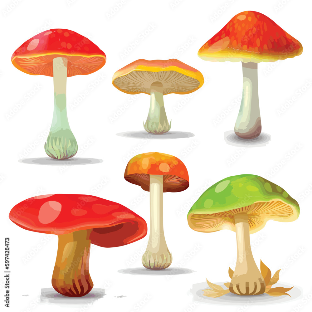 Set of vector mushrooms isolated on white background