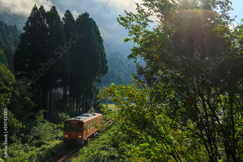 逆光の中を美山に現れた越美北線のオレンジ色の単行気動車