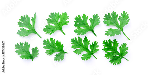 Coriander leaf pattern isolated on white background , top view , flat lay.