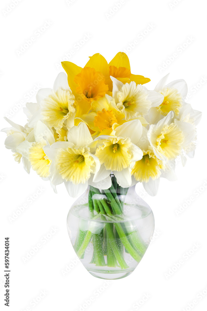 A bouquet of daffodils in a vase isolated on a transparent background. A bouquet of daffodils in a vase isolated on a transparent background.